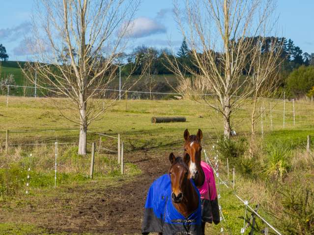 54 Lake Road Horsham Downs_2