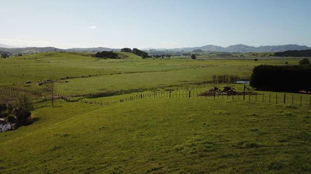 5321 State Highway 14 Dargaville Surrounds_2