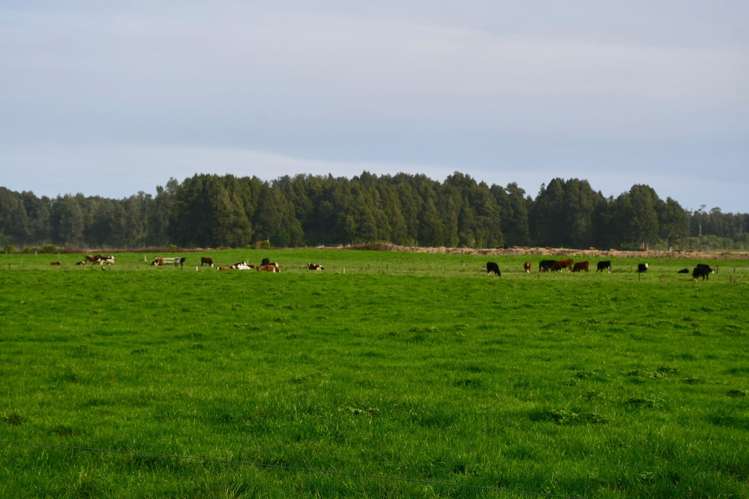 106 Granite Creek Road Karamea_16