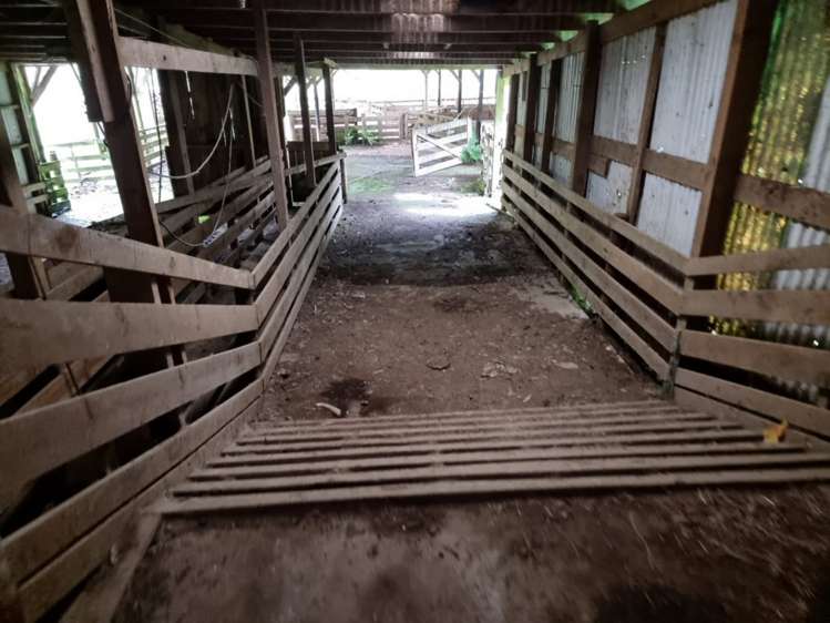 568 Morea Road Hawera_15