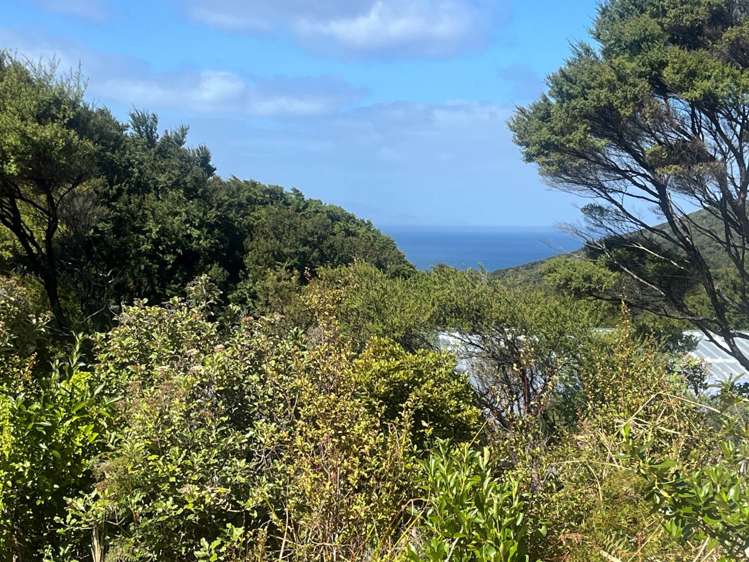 224B Blind Bay Road Great Barrier Island_8