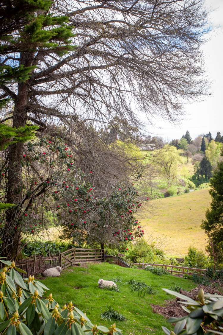 15 Norrie Place Putaruru_20