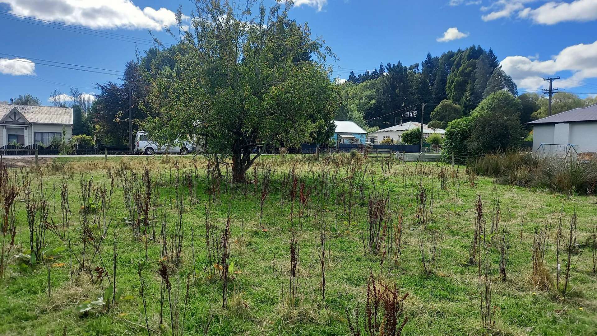 15 Ettrick Street Nightcaps_0