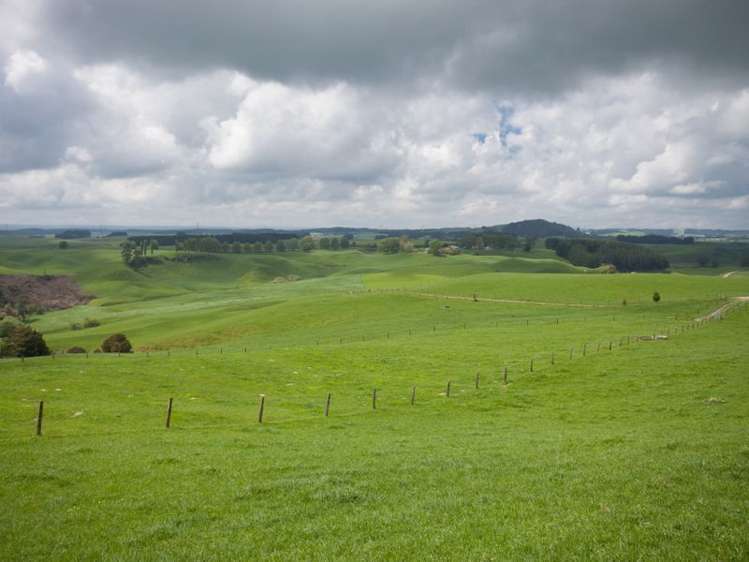 438 Waotu South Road Putaruru_40