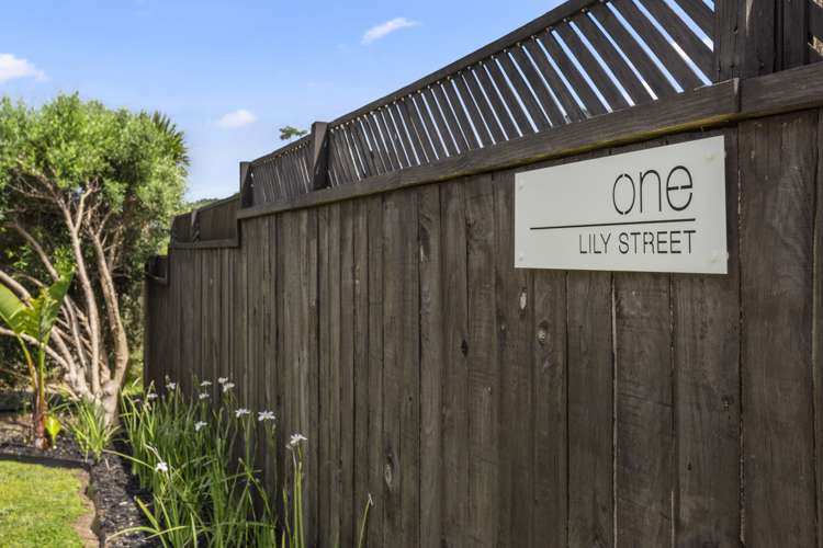 1 Lily Street Raglan_40