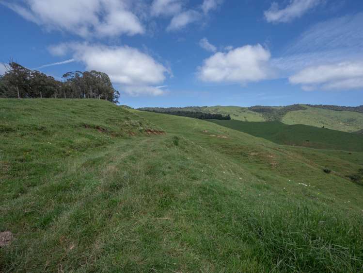 223 Coutts Road Marokopa_18