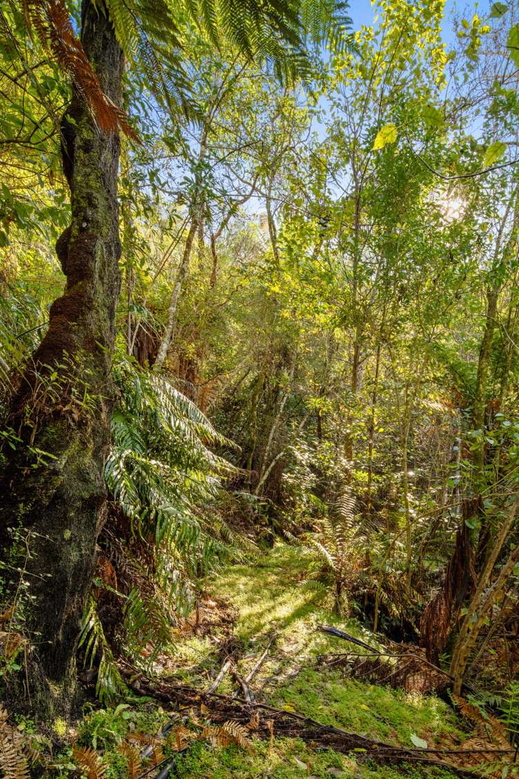 Lot 2/- Double Bay, Raetihi Kenepuru Sound_23