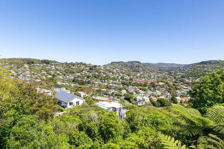 7 Kau Kau Way Ngaio_13