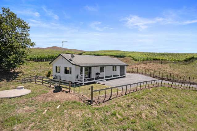 268 Starkey Road Morrinsville_1