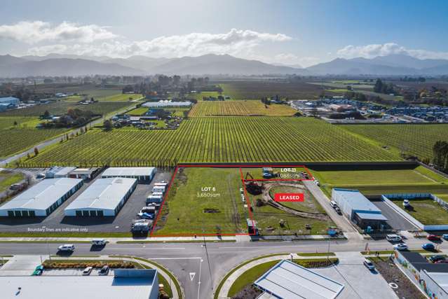 51 and 57 Rene Street Springlands_1