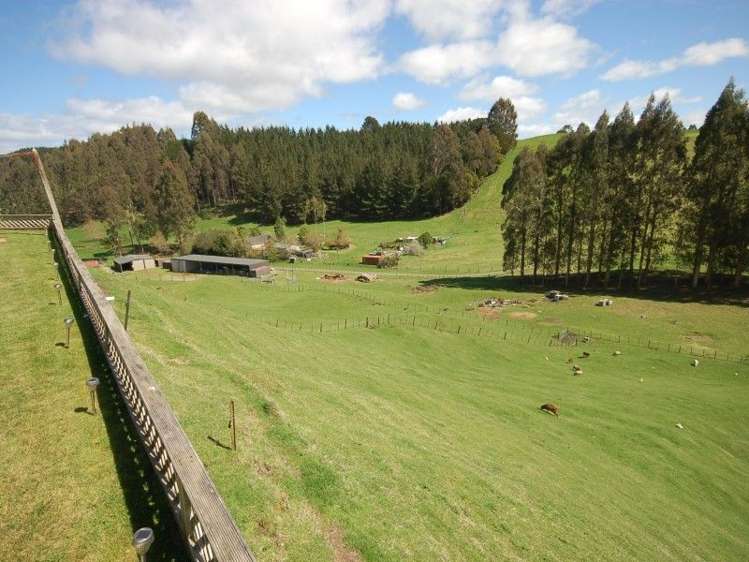 146 Whangamata Road Kinloch_9