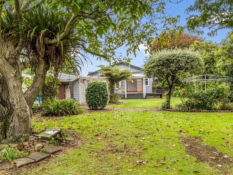 17 Sussex street Levin_26