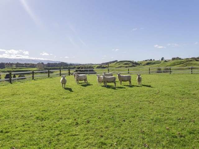 75 Riverdale Road Dannevirke_4