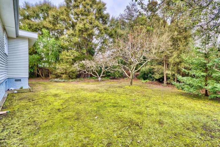 25a Saint Hill Lane Havelock North_13