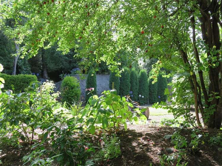 1238 Ashley Gorge Road Glentui_15