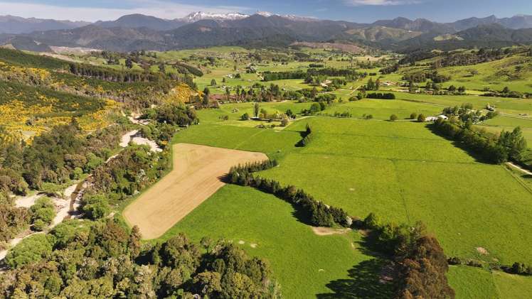 200 Upper Stanley Brook Stanley Brook_18