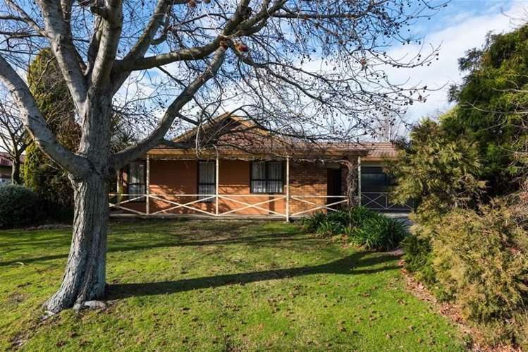 26 Lewis Street Redwoodtown_16