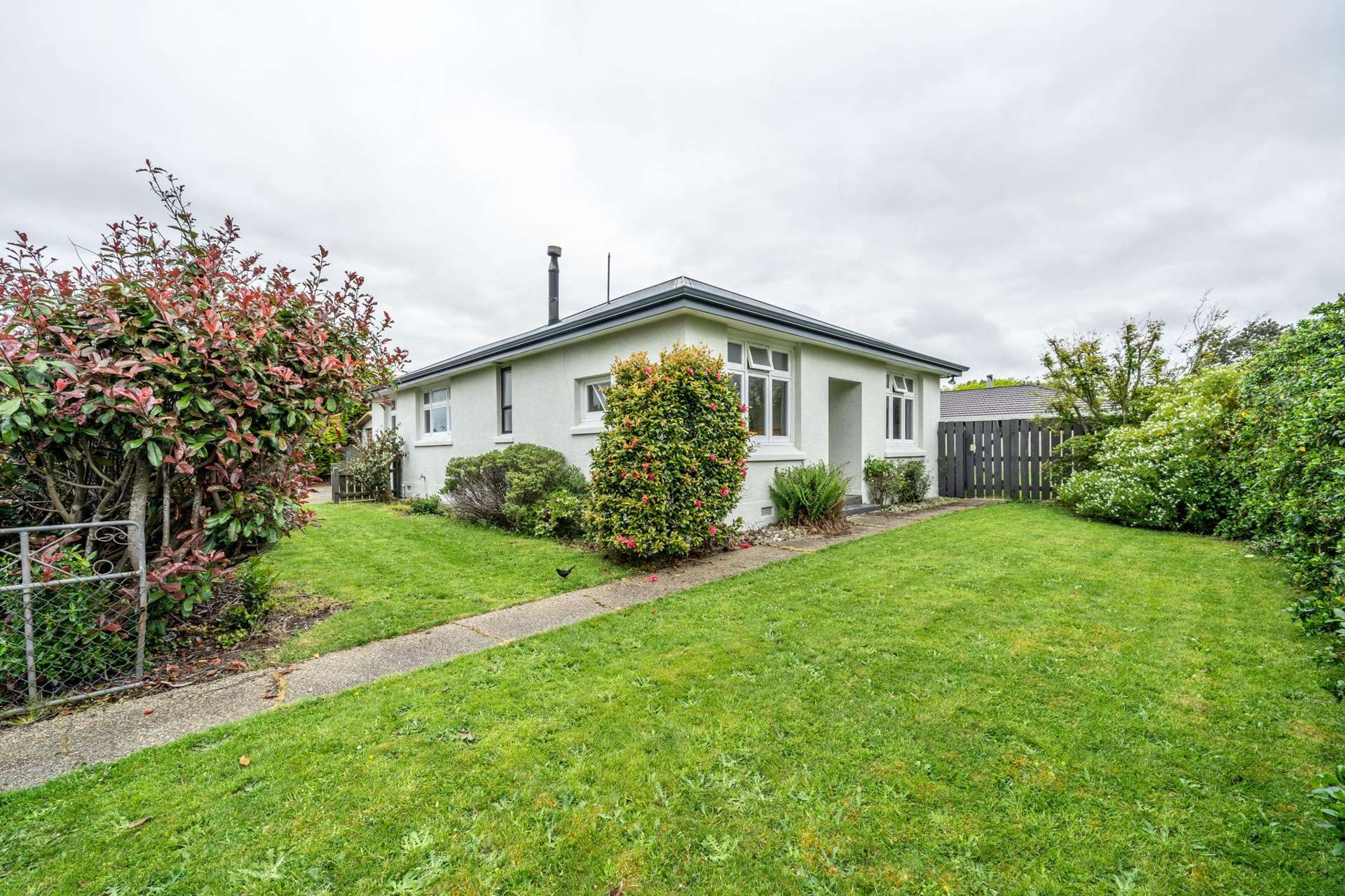 74 Wilfrid Street Newfield_0