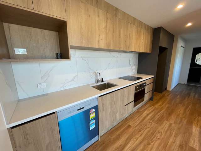 202/5 Newelm Lane Flat Bush_2