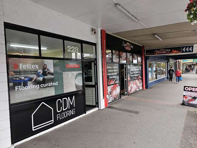 224 - 226 Palmerston Street Westport_3