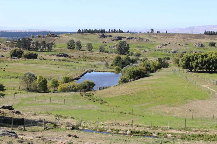 196 Chapman Road Alexandra_6