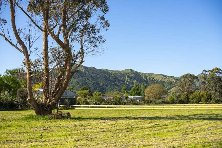 715 Back Ormond Road Makauri_12