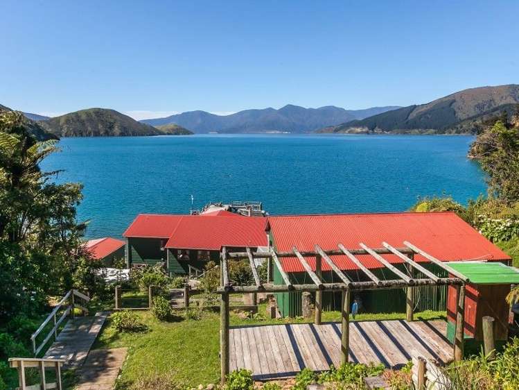 Wilson Bay Marlborough_14