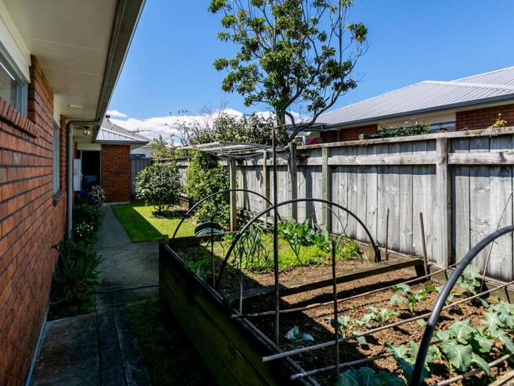 11 Dorset Avenue Westown_18