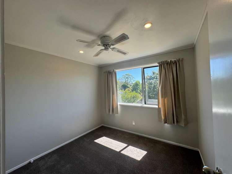 53 Gallony Avenue Massey_9