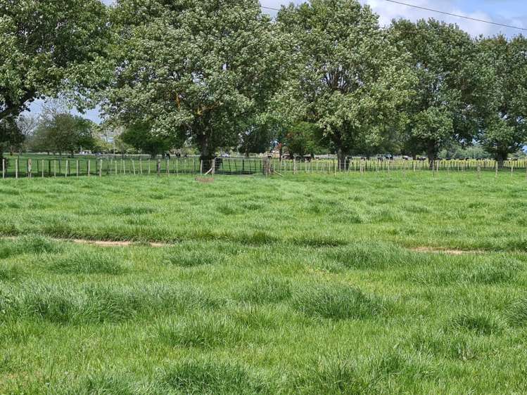 139 Taylor Road Gordonton_13