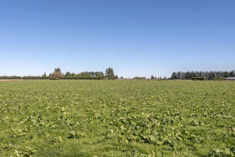 1735 Wards Road Greendale_29