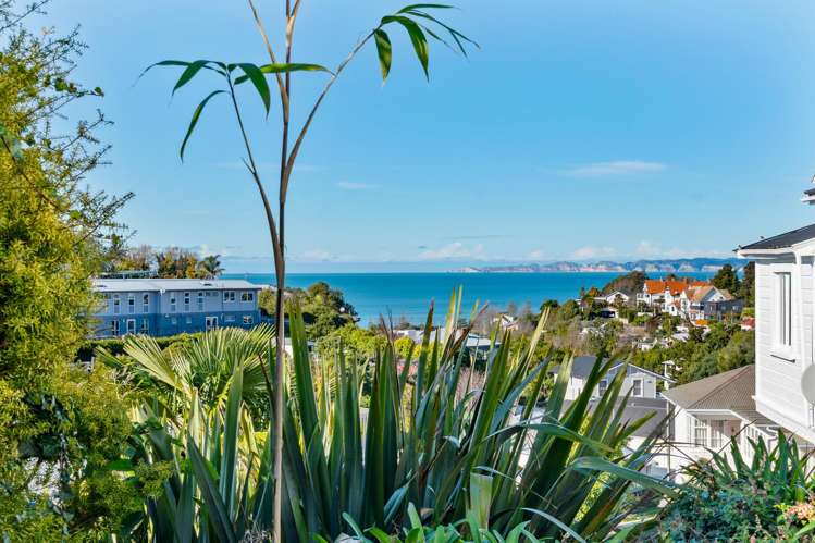 6 Fitzroy Road Bluff Hill_1