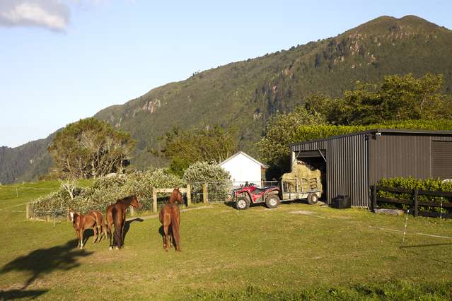 658 Te Kopia Road Waikite Valley_4