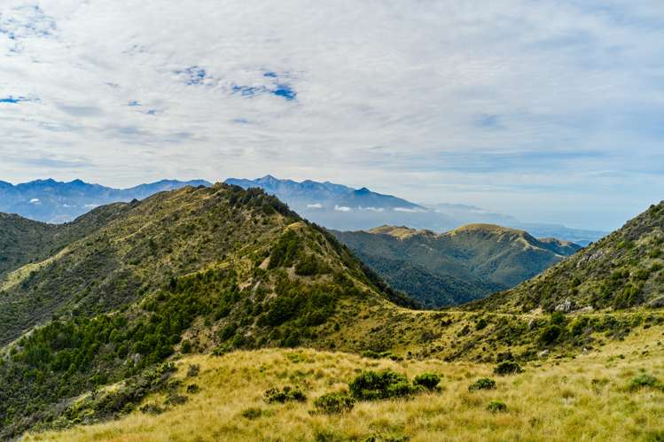 20 Moana Road Kaikoura_14
