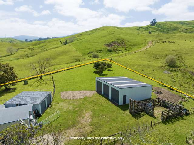 8660 Paeroa-Kopu Road Puriri_4