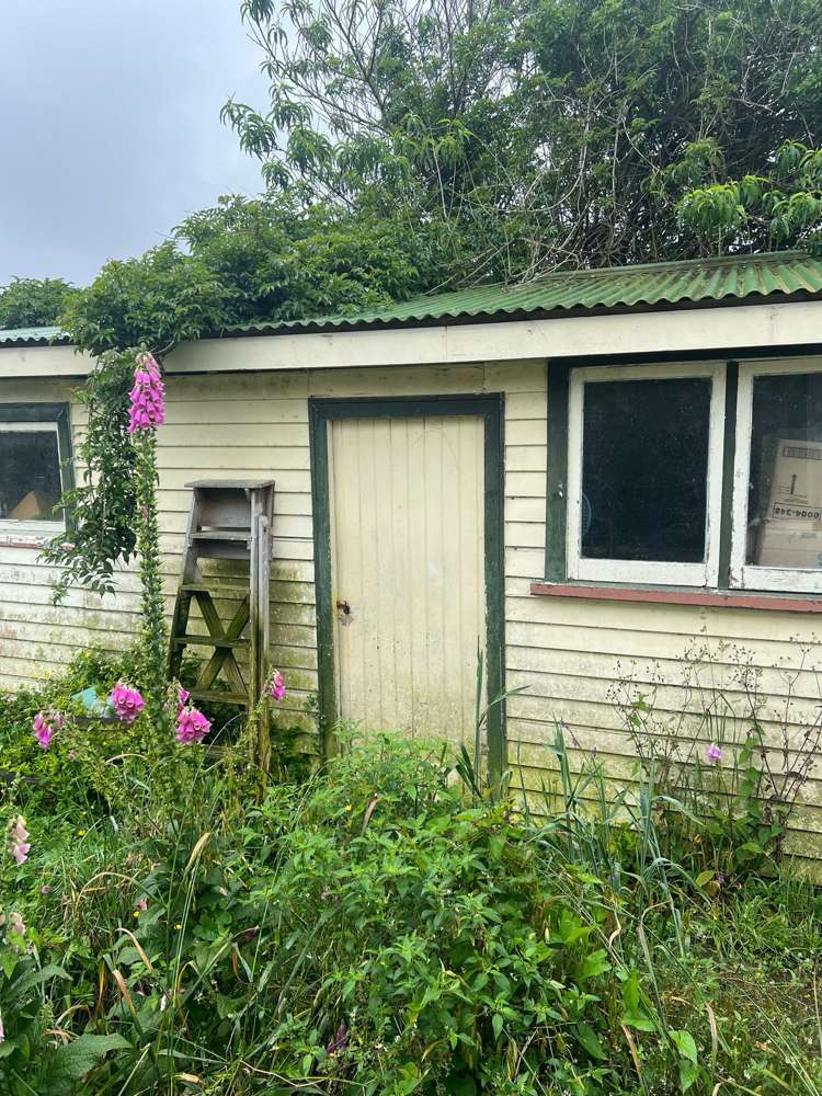 21 Ferguson Street Levin_9