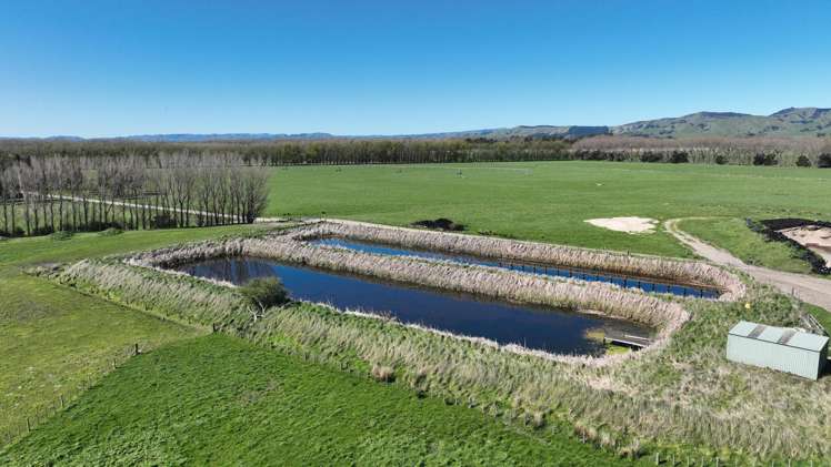 1807 Kahutara Road Kahutara_18