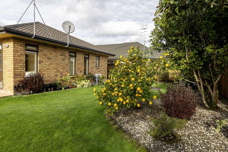 11 Homewood Avenue Levin_15