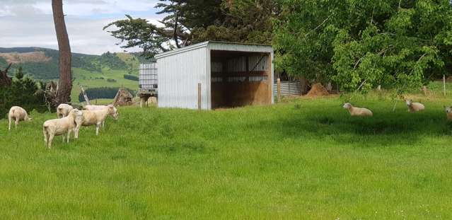 381 Old Port Road Warepa_2