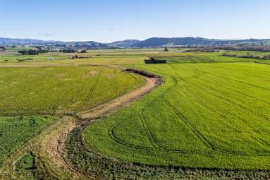 Pareora River Road_1