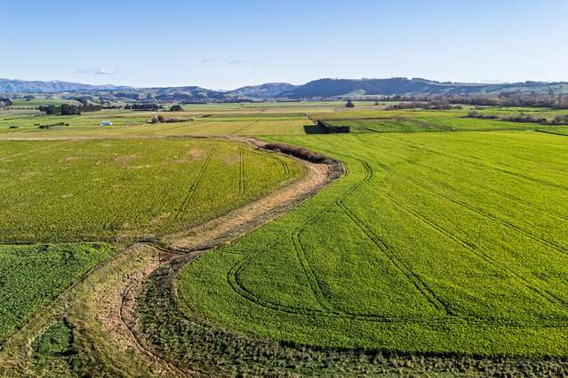 Pareora River Road Southburn_1