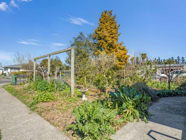 15 Rimu Street Edgecumbe_5