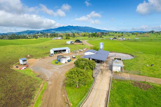 112 Waiari Road Pirongia_3