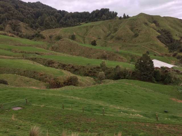 3434 State Highway 4 Aria_2