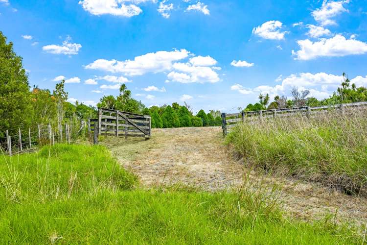 252 Ridge Road Mahurangi East_9