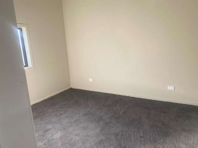 81 Archibald Street Tinwald_4