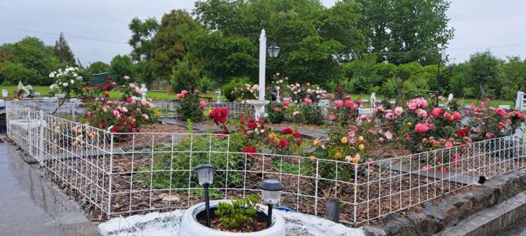 11 Ryall Road Paeroa_8