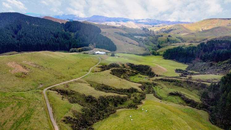 25 Mangamaire Road Dannevirke_16