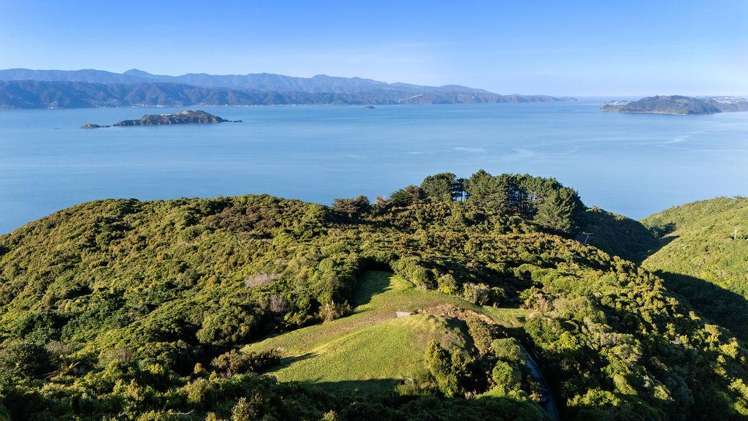 221 Glanmire Road Newlands_6