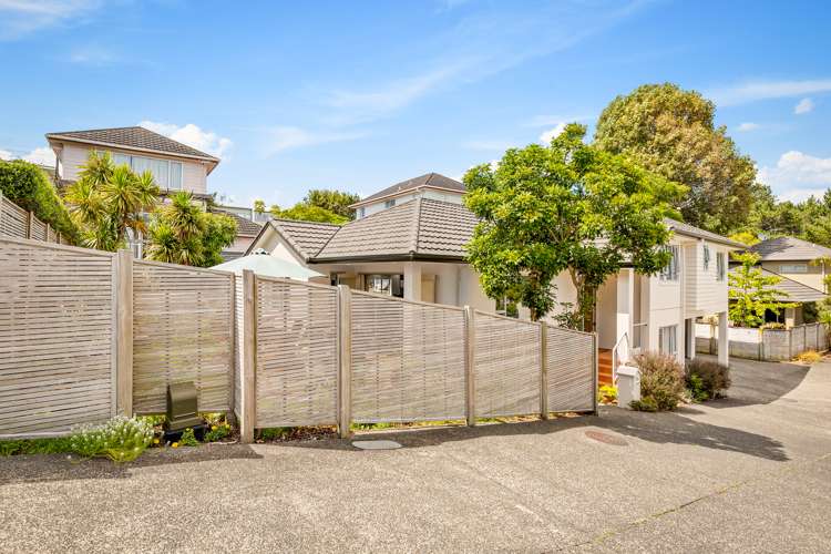 28a Fairlands Avenue Waterview_26